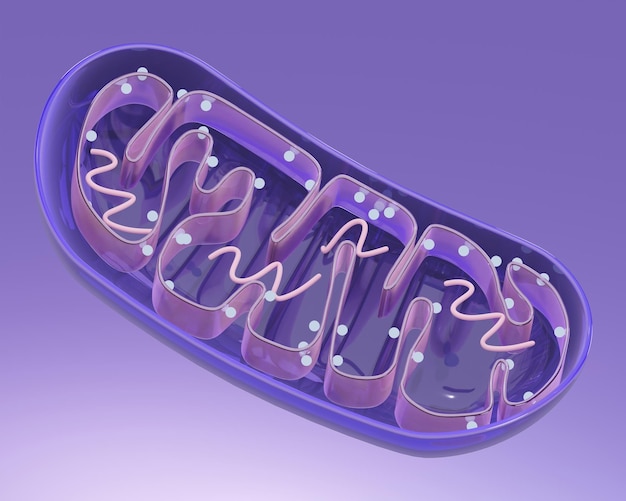PSD psd 3d визуализированная иллюстрация митохондрий