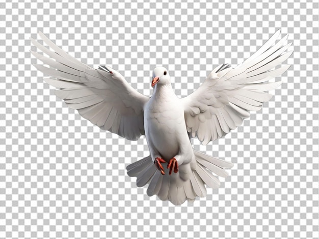 PSD psd of a 3d white dove