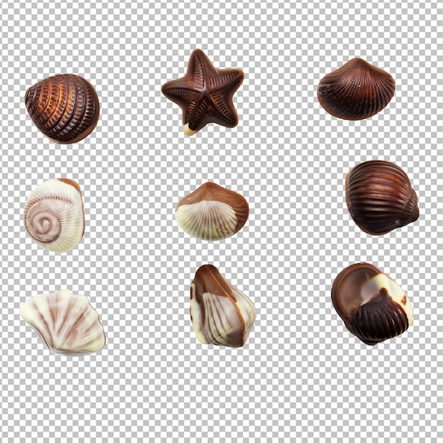 PSD A set of different seashells chocolate on a transparent background