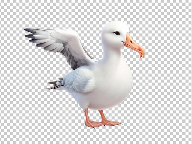 Psd of a albatross