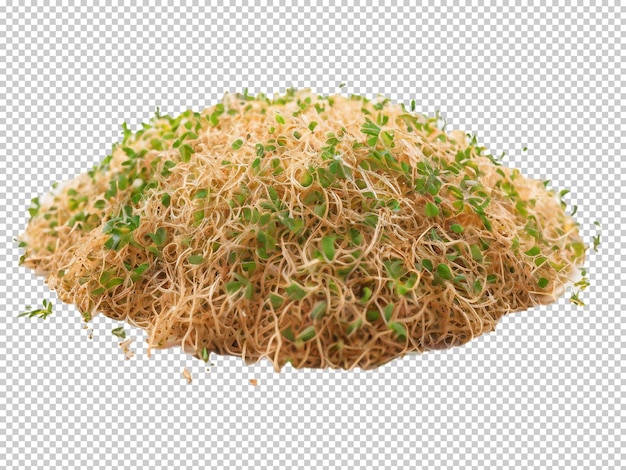 Psd alfalfa sprouts png su uno sfondo trasparente