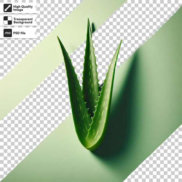 PSD psd aloe vera plant on transparent background