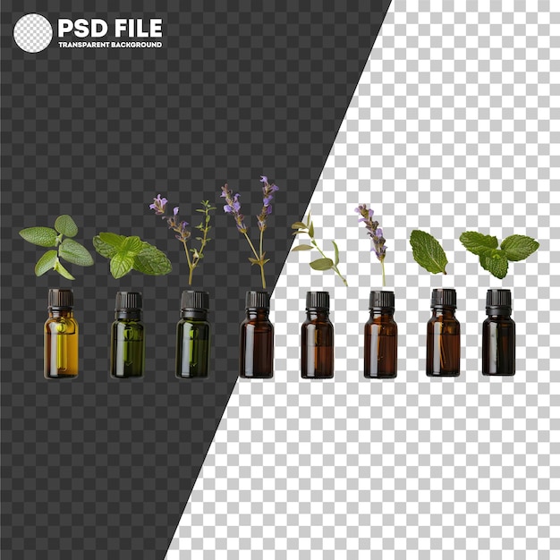 psd assortment of fresh culinary herbs