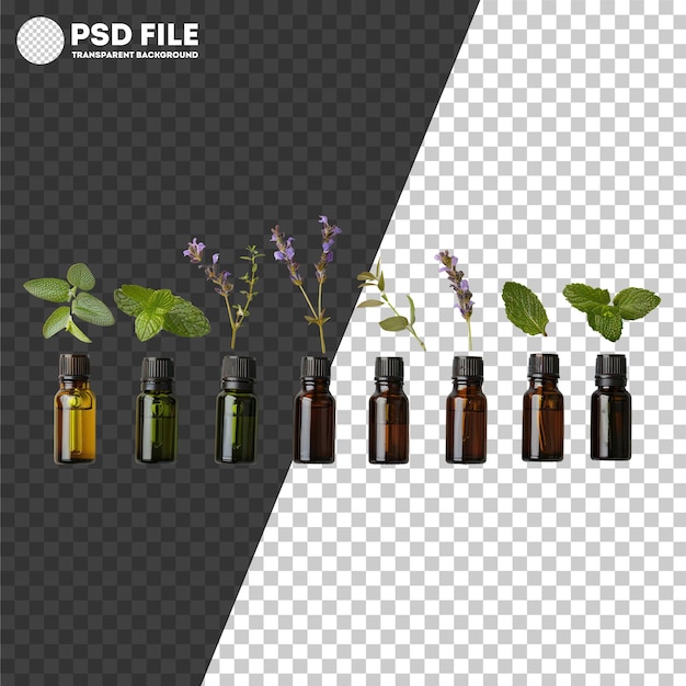 PSD psd assortment of fresh culinary herbs