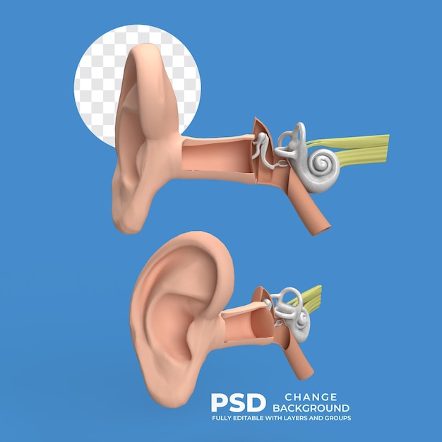 Psd auditory system