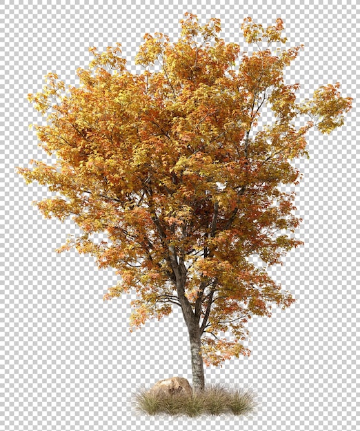 PSD autumn large trees cut out transparent backgrounds 3d rendering