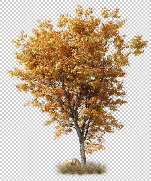 PSD psd autunno grandi alberi tagliati con sfondi trasparenti rendering 3d