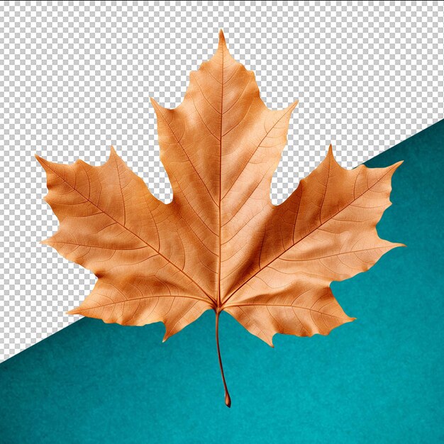 PSD psd autumn on transparent background