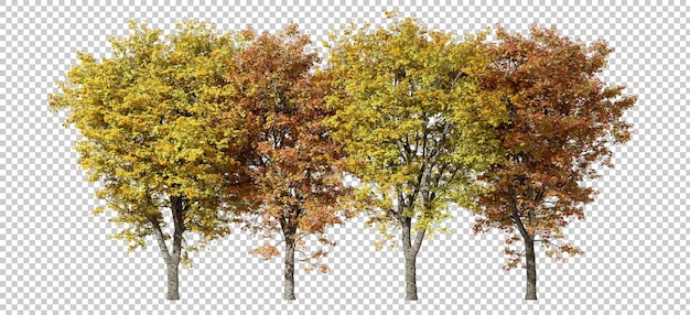 PSD Autumnal forest trees yellow and orange row landscape cutout backgrounds 3d render