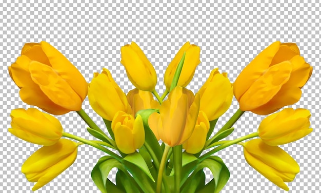 PSD psd bellissimo mazzo di tulipani, tulipani gialli, fiori primaverili isolati