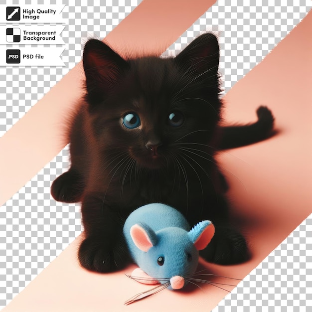 PSD psd black cat with mouse toy on transparent background