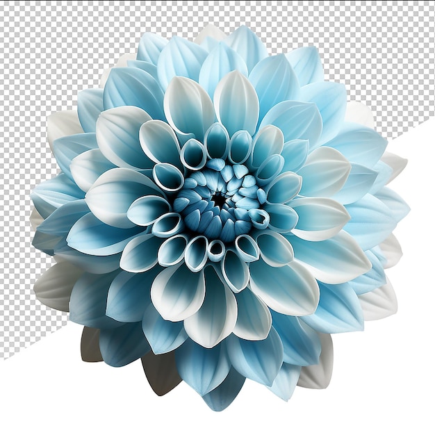 PSD fiore blu psd isolato sullo sfondo