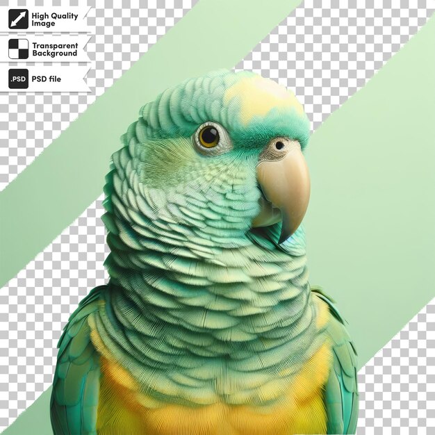 Psd blue and yellow macaw ara on transparent background