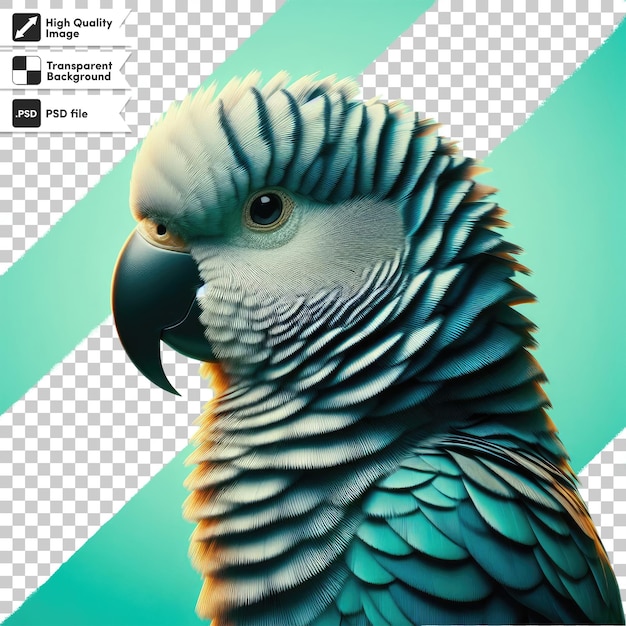 Psd blue and yellow macaw ara on transparent background