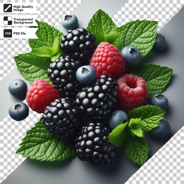 Psd blueberries and raspberries on transparent background