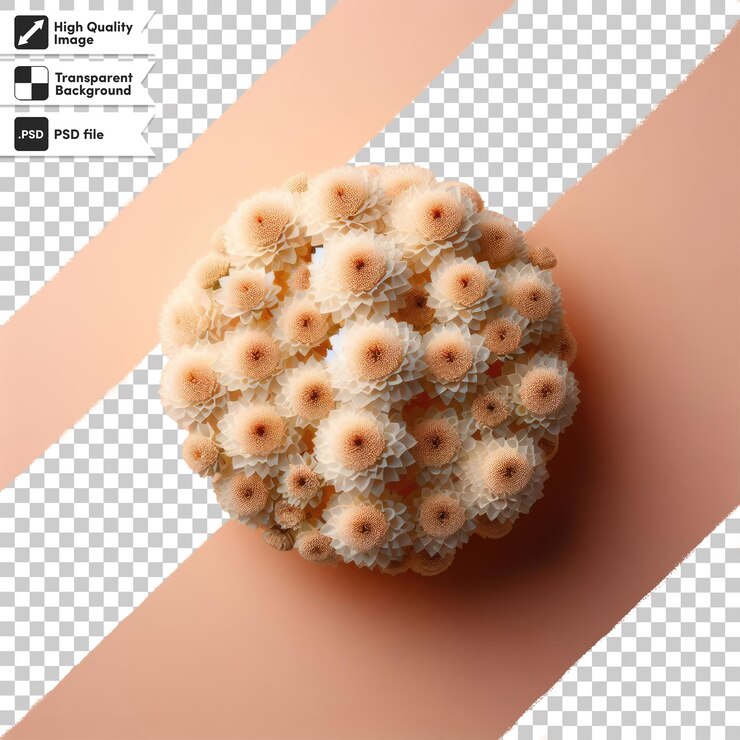PSD psd 透明背景上的花束