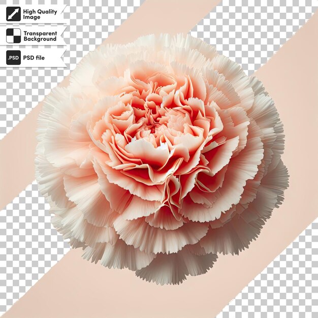 PSD psd bouquet of roses isolated on transparent background