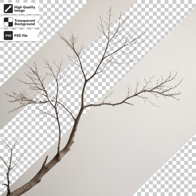 PSD psd branches of a tree on transparent background with editable mask layer