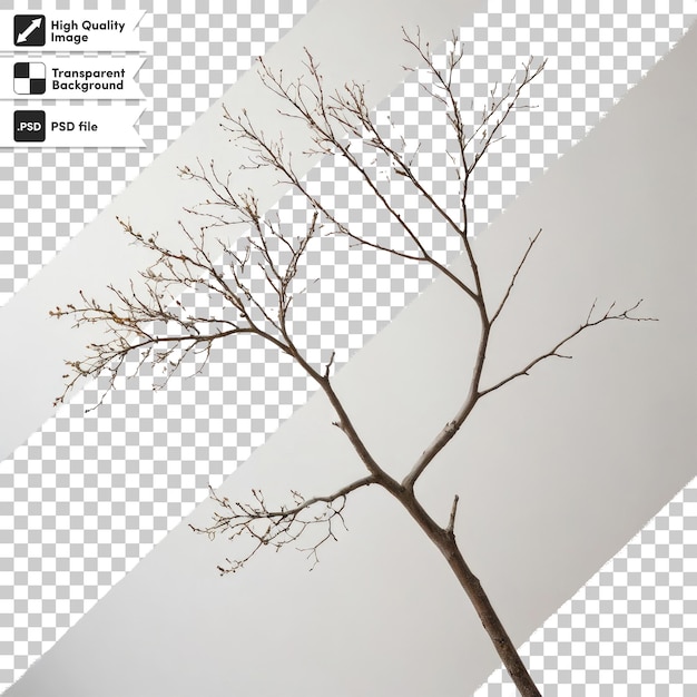 PSD psd branches of a tree on transparent background with editable mask layer