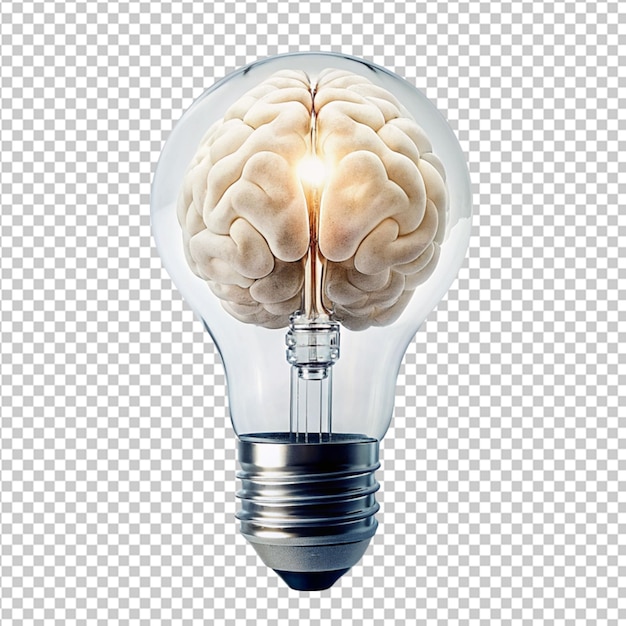 Psd of a a brane in the shape of a light bulb on transparent background