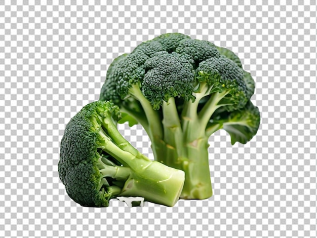 Psd di un broccolo