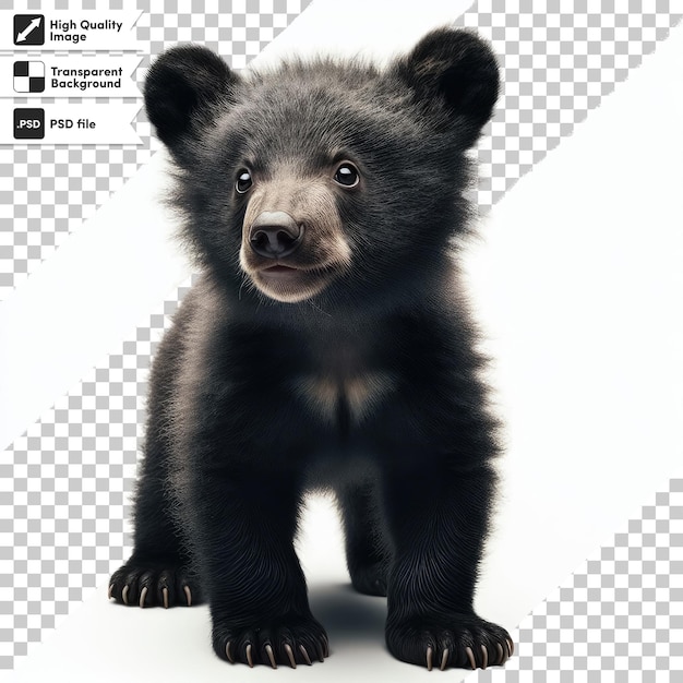 PSD psd коричневый медведь изолирован на прозрачном фоне