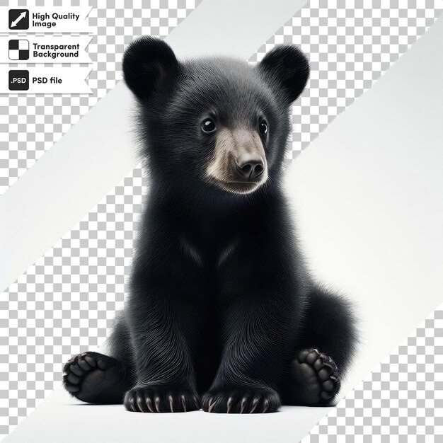 PSD psd brown bear isolated on transparent background