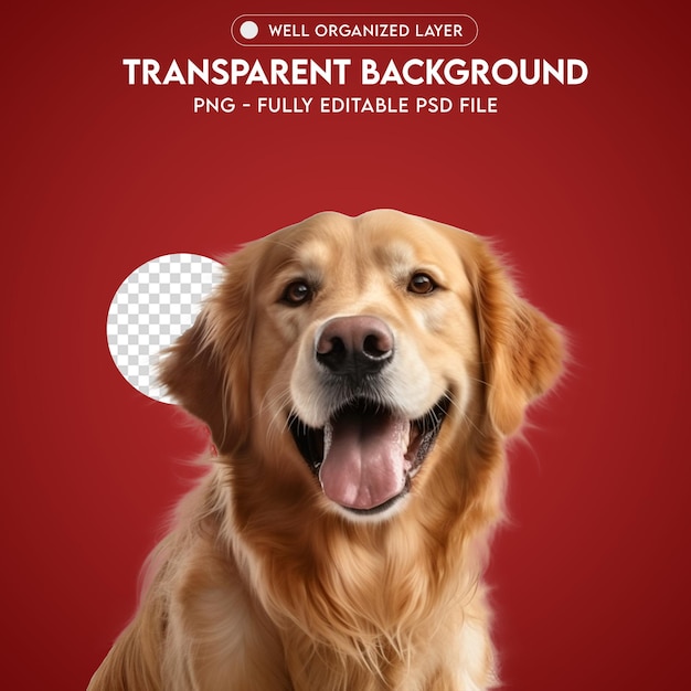 PSD psd brown dog png transparent