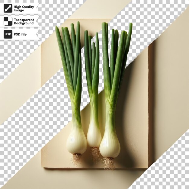 PSD psd bunch of fresh green onions on transparent background