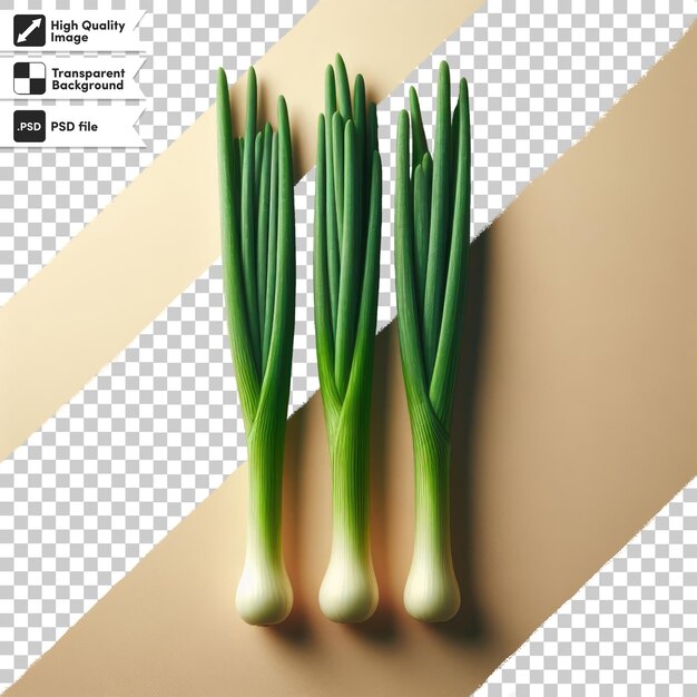 PSD psd bunch of fresh green onions on transparent background