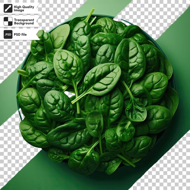 PSD psd bunch of fresh spinach on transparent background