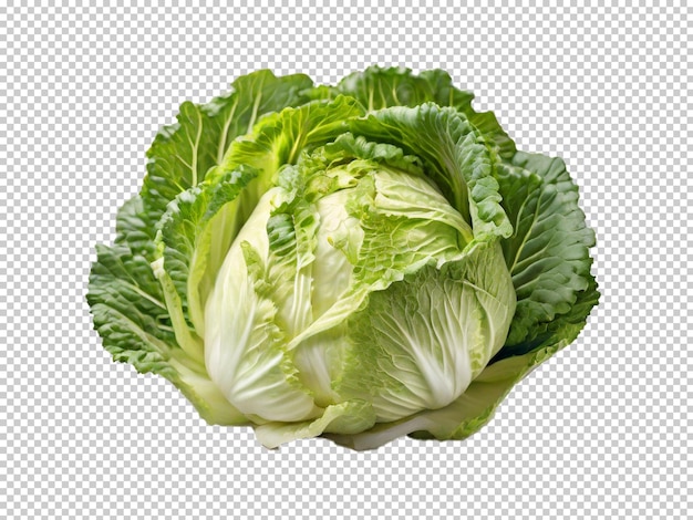 Psd Cabbage Palm Png Na Przezroczystym Tle