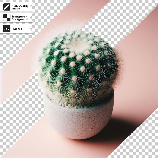 Psd cactus in flowerpot on transparent background