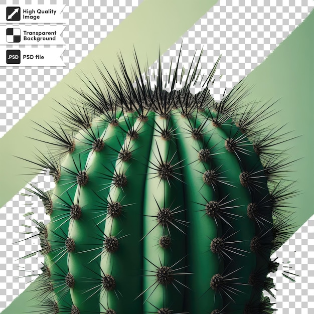 PSD psd cactus in a pot on transparent background