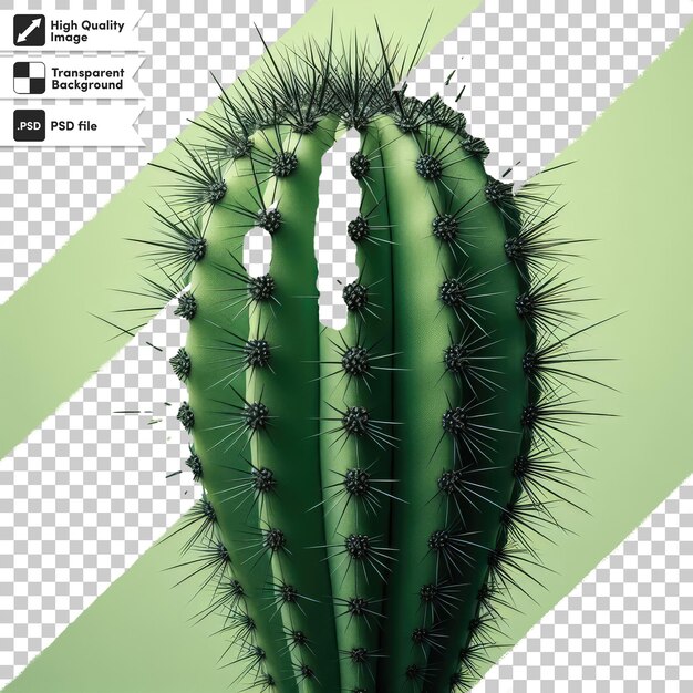 PSD psd cactus in a pot on transparent background