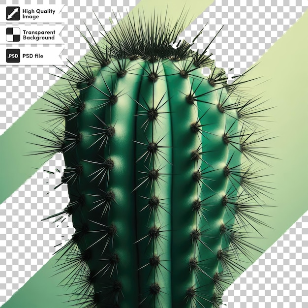 Cactus psd in una pentola su sfondo trasparente
