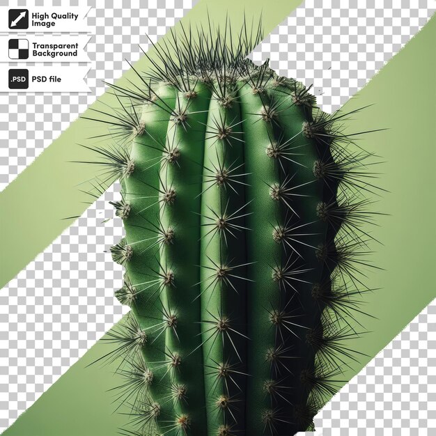 PSD psd cactus in a pot on transparent background