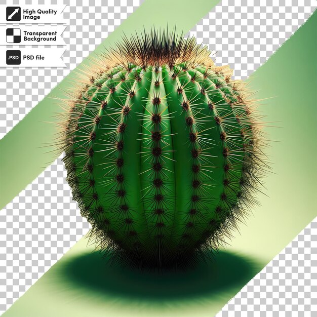 PSD psd cactus in a pot on transparent background