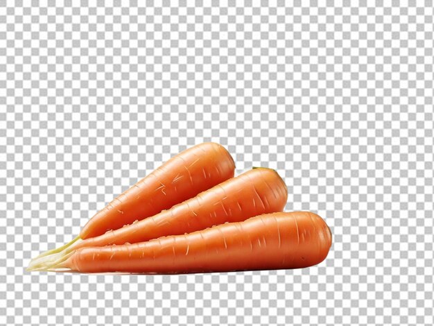 PSD psd of a carrot