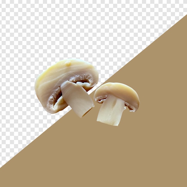 PSD psd chopped mushroom