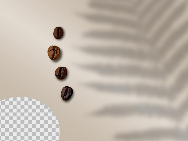 PSD coffee beans on background with leaf shadow Transparent background