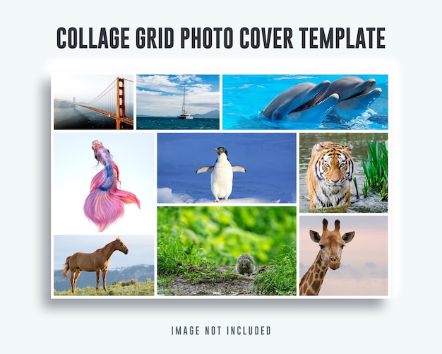 PSD psd collage grid photo cover template