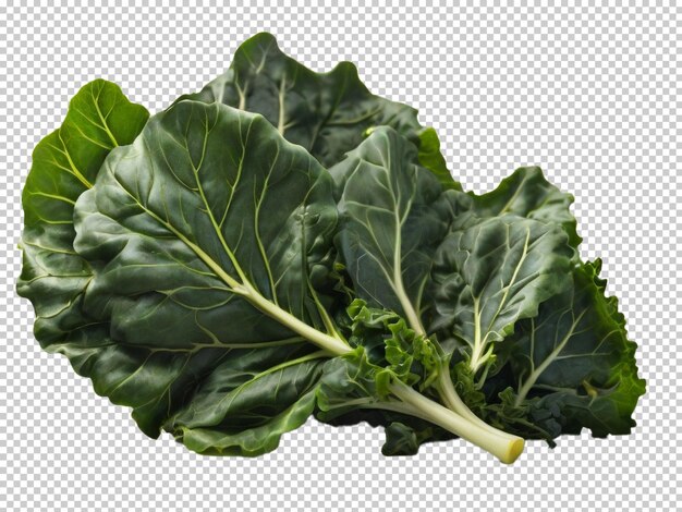 Psd collard greens png на прозрачном фоне