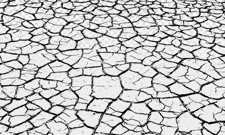 PSD psd cracked ground texture overlay on a transparent background