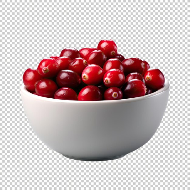 PSD psd cranberry realistic berry