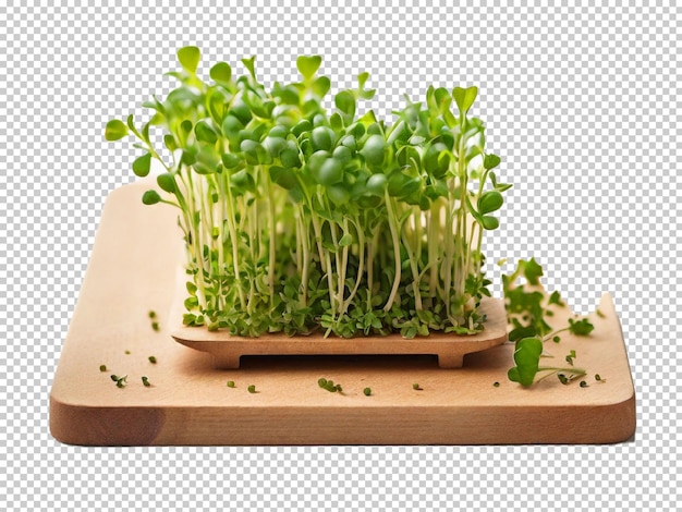 PSD psd cress png on a transparent background