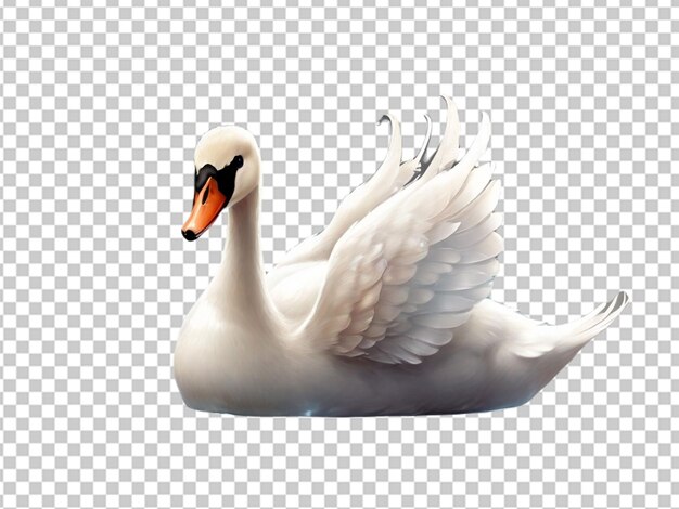 PSD psd of a cutest ever swan