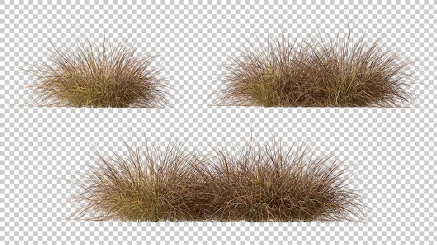 PSD psd cutout gedroogd gras weiden savanne veld ingesteld op transparante achtergronden 3d render