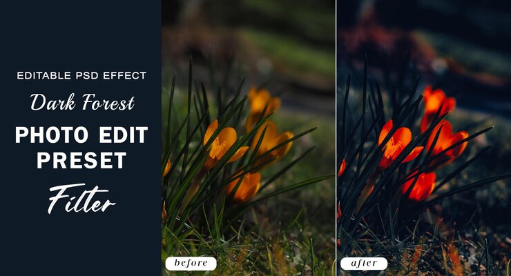 PSD psd dark forest photo edit preset filter for smoky forest cinematic instagram photo filters