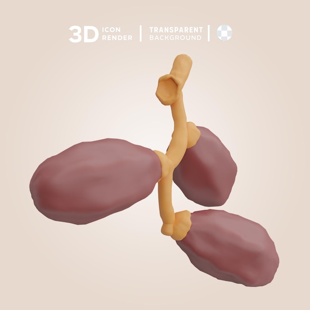 PSD psd データまたは kurma 3d イラスト